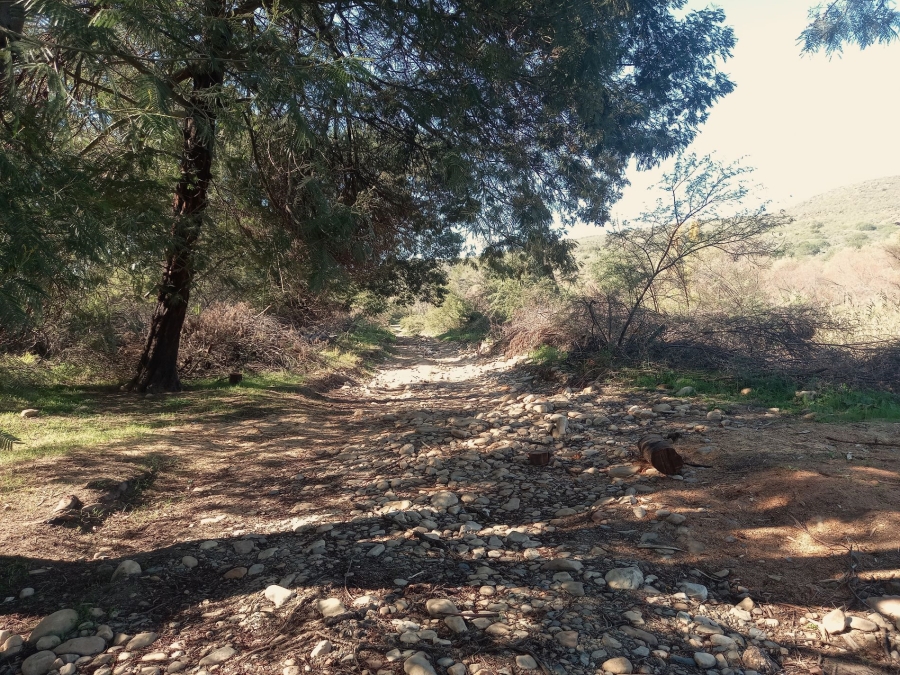 Commercial Property for Sale in George Rural Western Cape